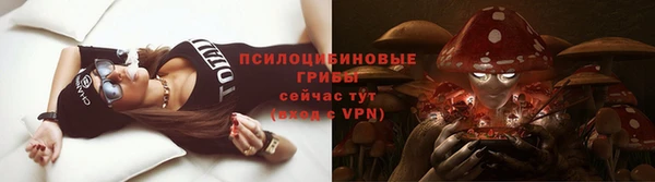 кокс Баксан