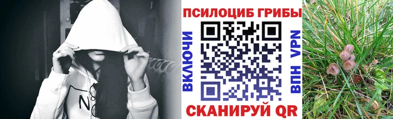 Псилоцибиновые грибы мухоморы Краснозаводск