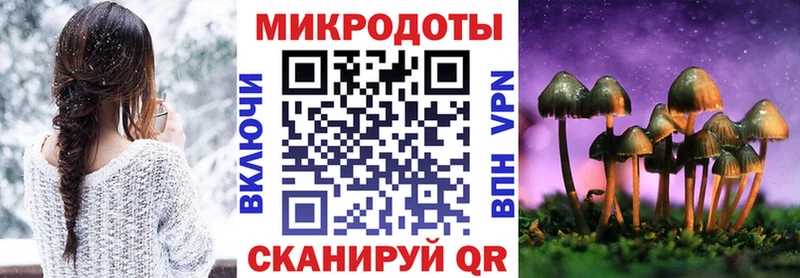 Псилоцибиновые грибы Cubensis Краснозаводск