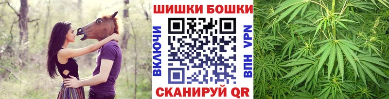 дарнет шоп  ОМГ ОМГ рабочий сайт  Канабис план  Краснозаводск 